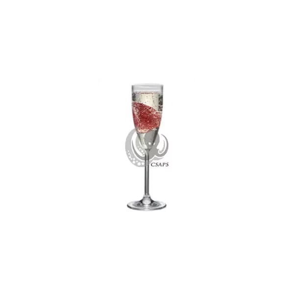 Drinkware, Champagne 170ML